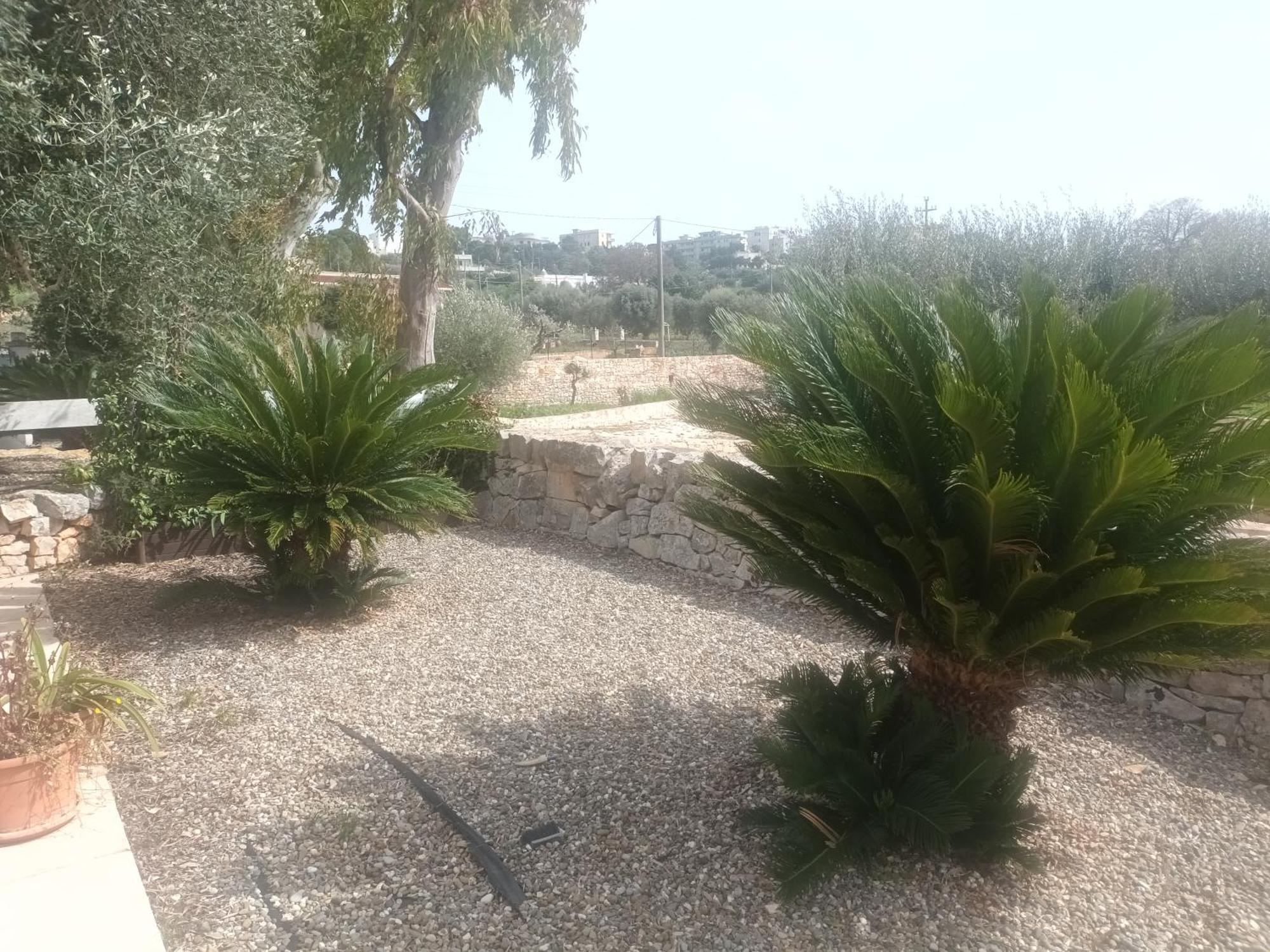 Villa Trullo Amico Cisternino Exterior foto